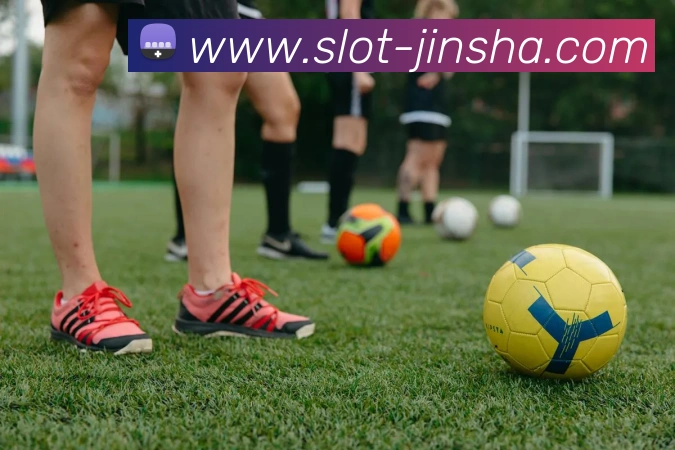 澳门金沙官网平台生态图